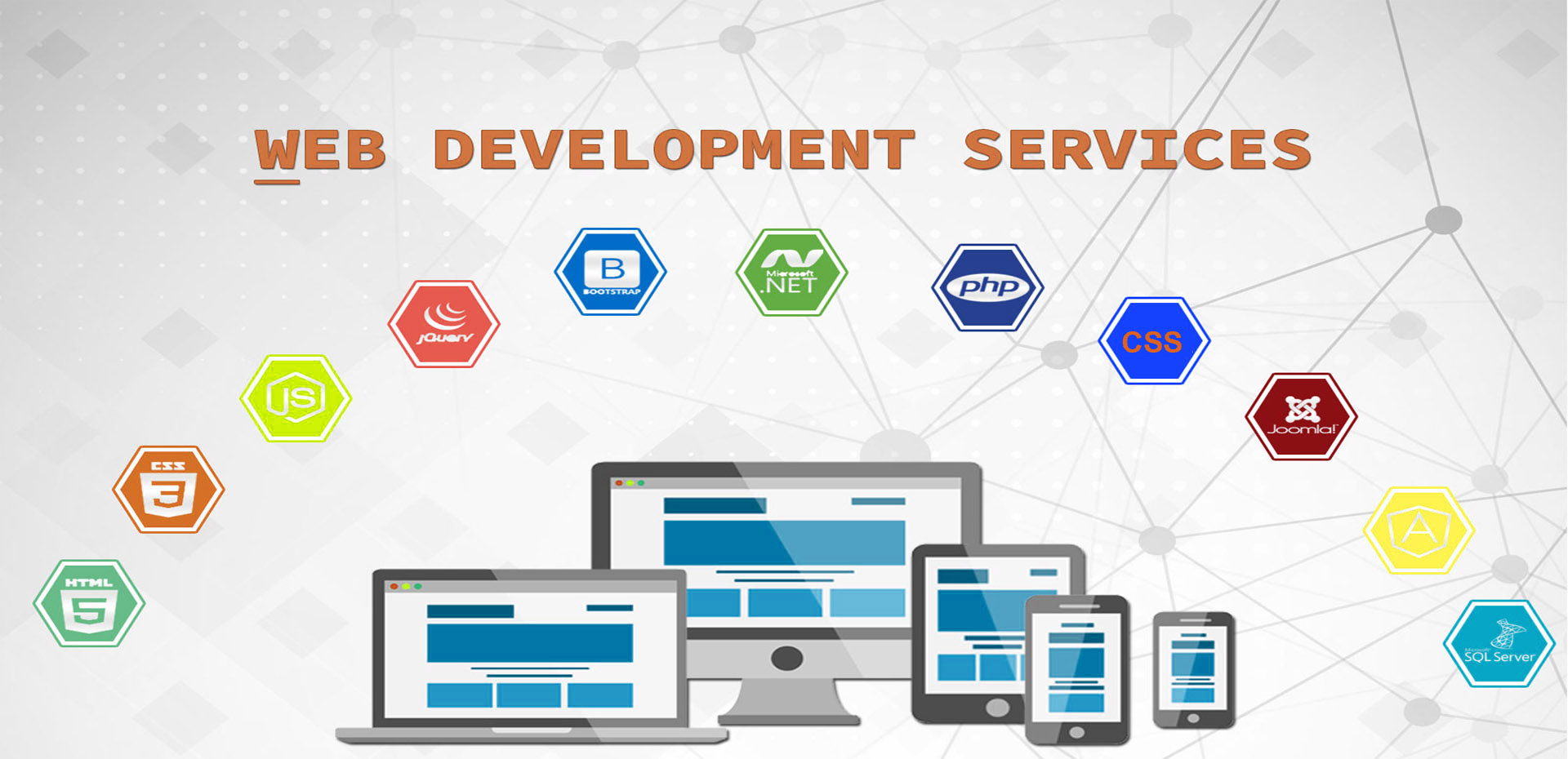 Website Development – Digi Commerce World